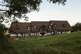 Отель Contele Vladimir Бран-1