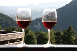 Отель Contele Vladimir Бран-4